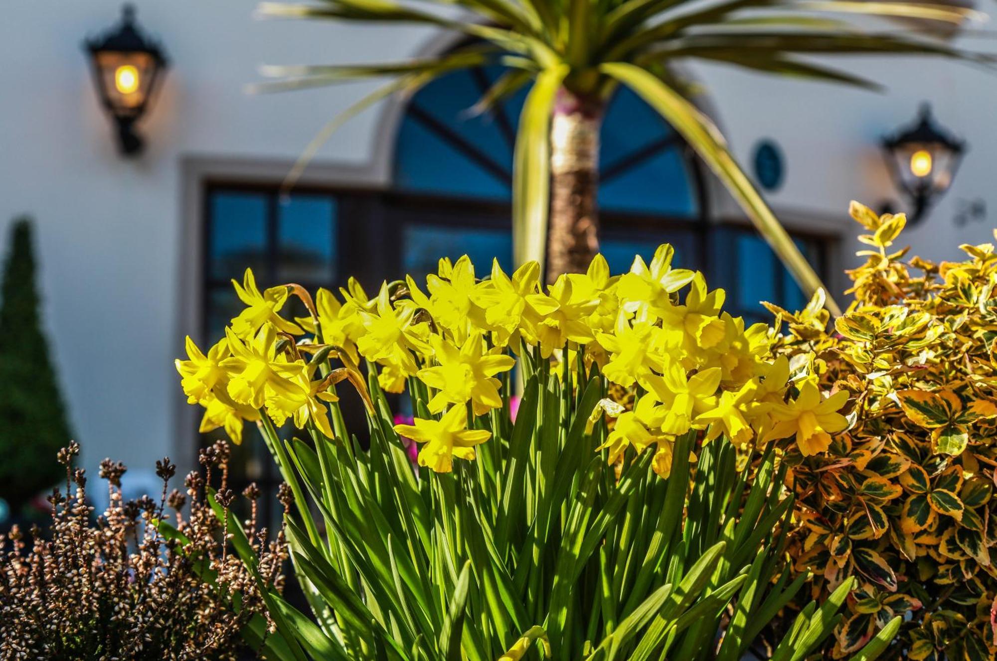 Ballymac Hotel Stonyford Екстер'єр фото